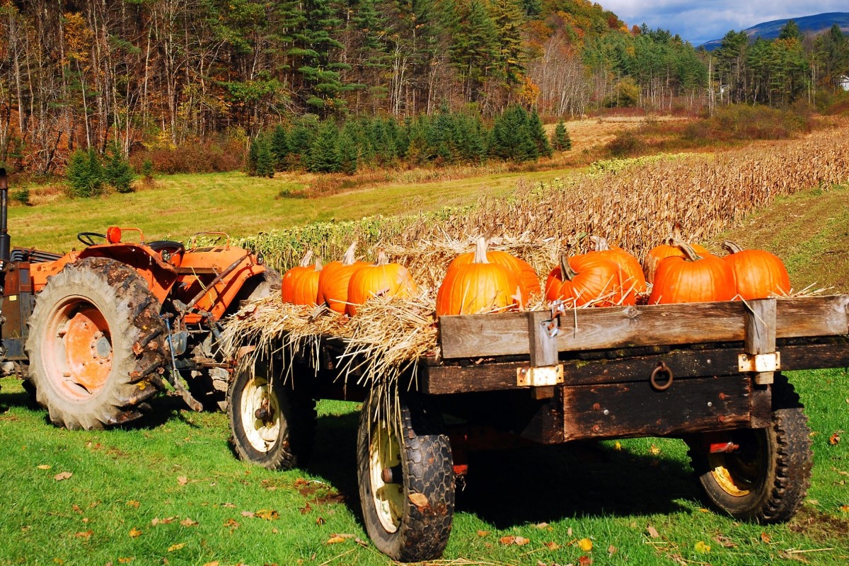 Agri Tourism